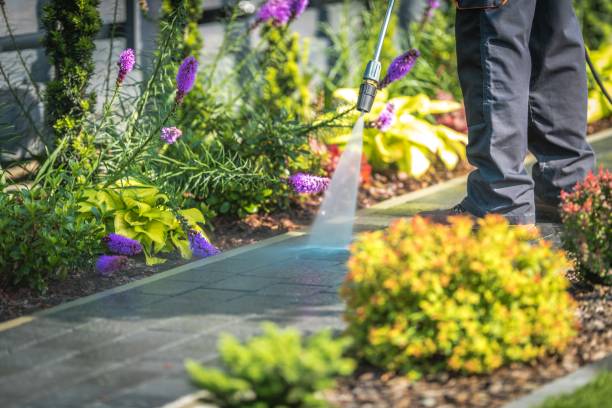 Best Spring Cleaning  in Garberville, CA